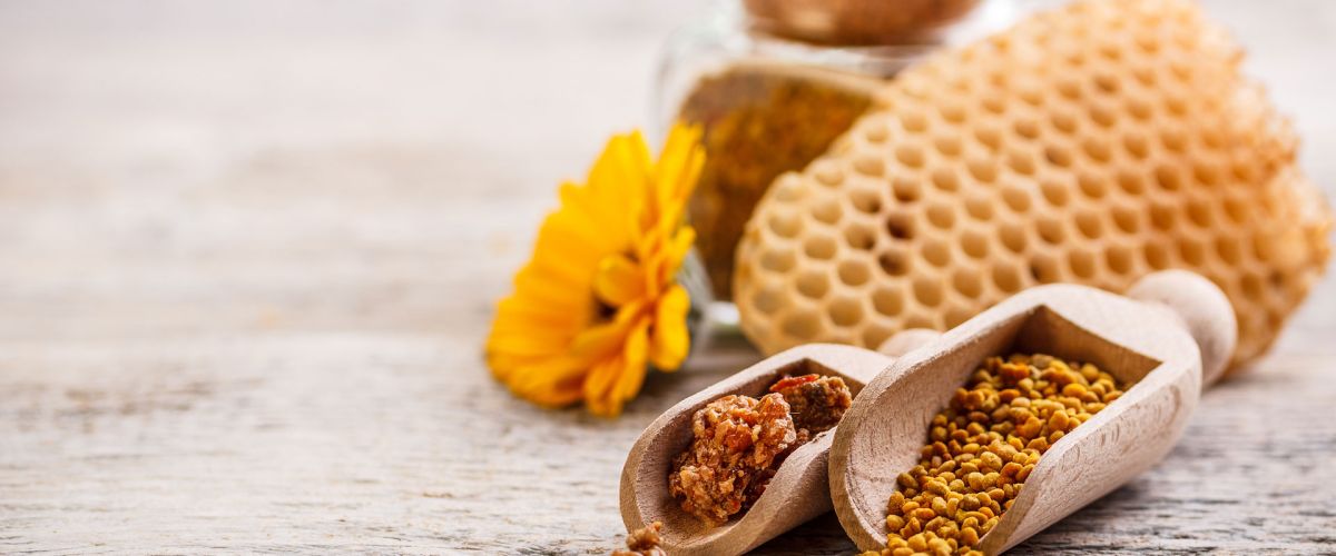 Propolis – Die Apotheke der Bienen